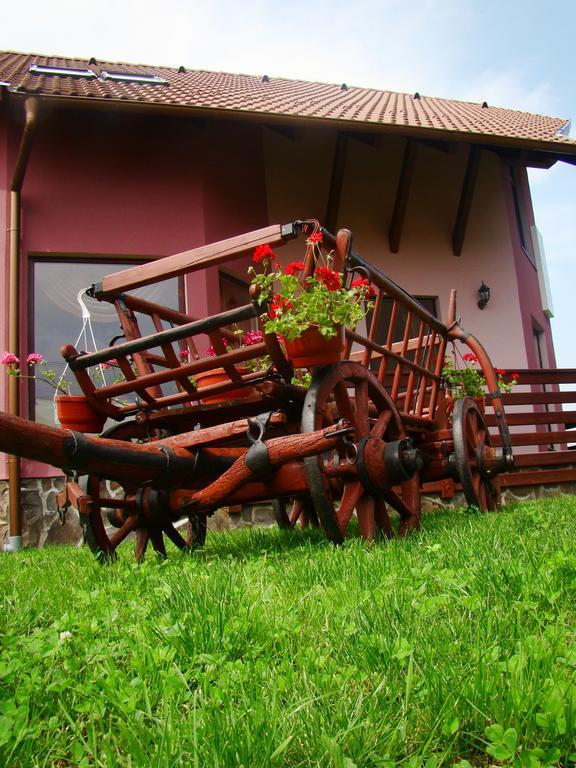 Colt De Rai Otel Covasna Dış mekan fotoğraf
